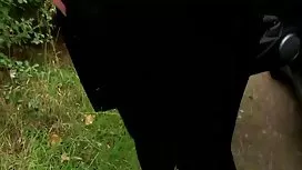 Бях в устата си! луд ...