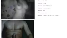 Висока холандска бъл ...