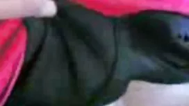 Кой си всъщност flex ...