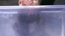 църква български ама ...