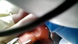 Къдрава Лотос дълбок ...
