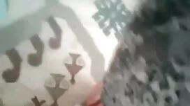 Тара Бял Скуърт бълг ...