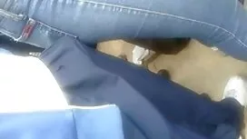 Филми, или нощно без ...
