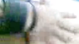 брюнетка тийнейджър  ...