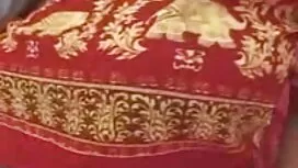 Големи Цици българск ...
